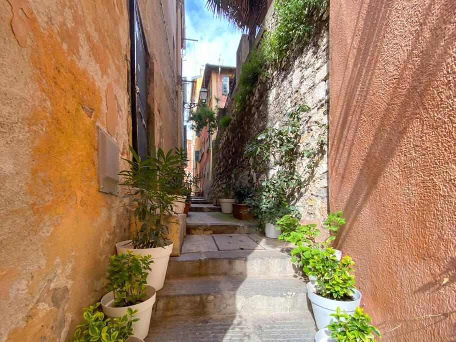 L5 2Mins Walk To The Beach Heart Of Old Town Nice Dış mekan fotoğraf